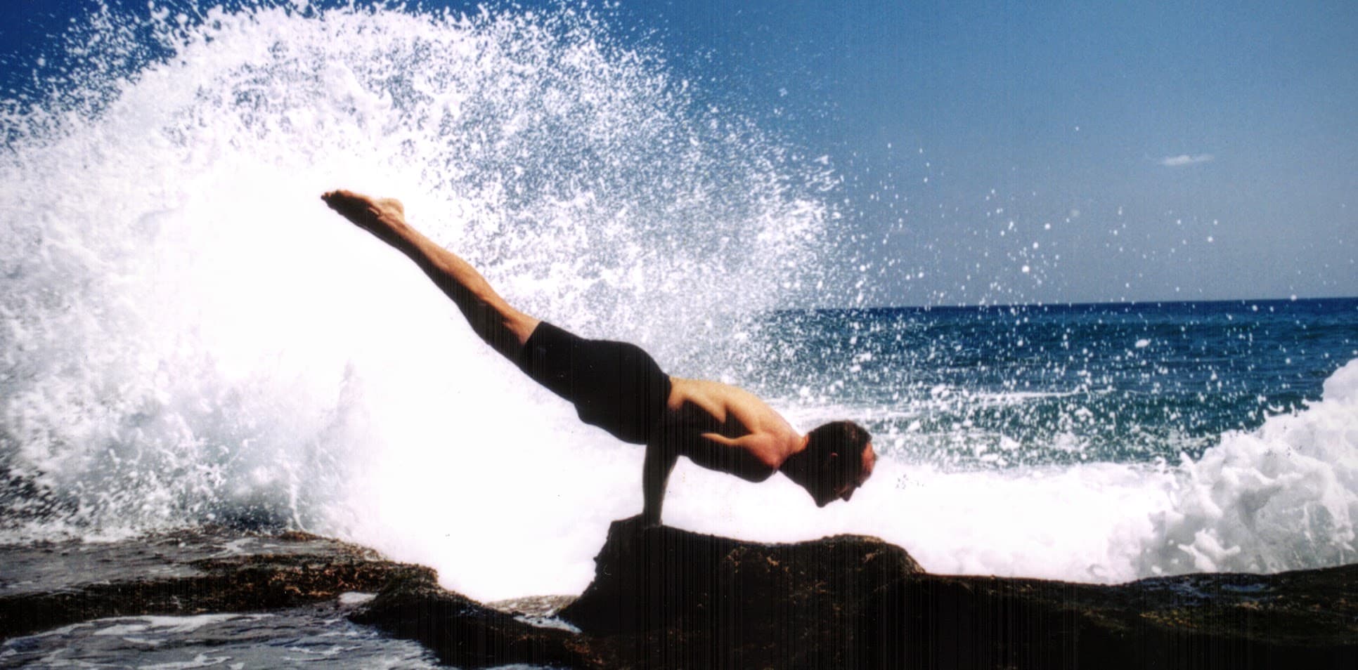 David Swenson - Peacock Pose